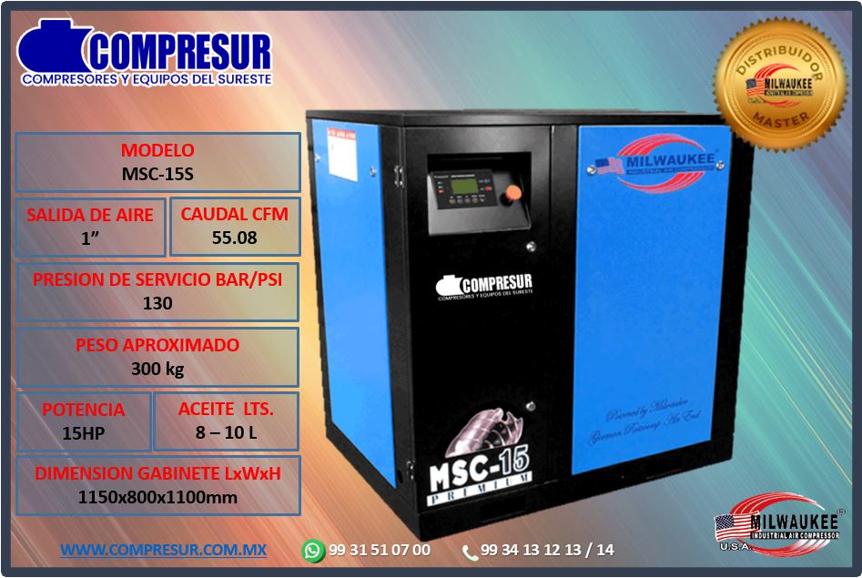 msc15-s